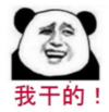 暴漫 熊猫头 我干的 搞笑 逗 沙雕