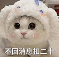 萌宠 猫咪 不回消息扣二十 呆萌 可爱