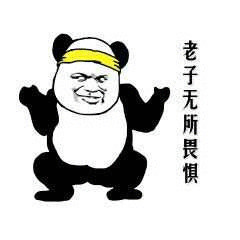 熊猫头坏笑表情包图片