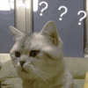 猫咪 疑问 惊讶 疑惑 问号 ？ 可爱