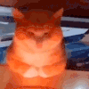 萌宠 猫咪 刺眼 呆萌 可爱