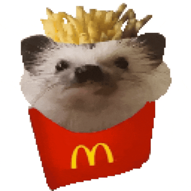 猫meme 猫猫 抽象 搞怪