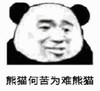 暴漫 文字表情包 熊猫何苦为难熊猫 搞笑 逗 沙雕