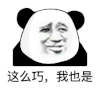暴漫 熊猫头 这么巧 我也是 搞怪 逗