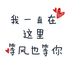 我一直在 这里 等风也等你 文字