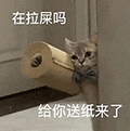 萌宠 猫咪 在拉屎吗给你纸来了 呆萌 可爱