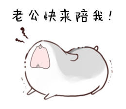 老公我的了gif好玩gif搞笑gif逗乐gif