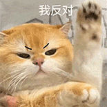 萌寵 貓咪 我反對(duì) 呆萌 可愛