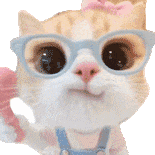猫咪 可爱 搞怪 沙雕