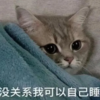 萌宠 猫星人 没关系 我可以自己睡 呆萌 可爱