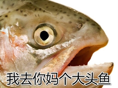 鱼头砂锅图片