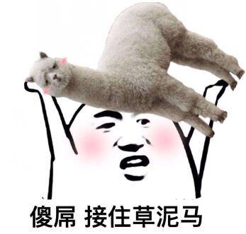 傻屌接住草泥马斗图搞笑猥琐gif动图