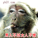 猴子抽烟搞笑男人不坏女人不爱gif动图