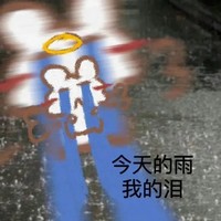 猫 可爱 精神状态 沙雕 搞笑