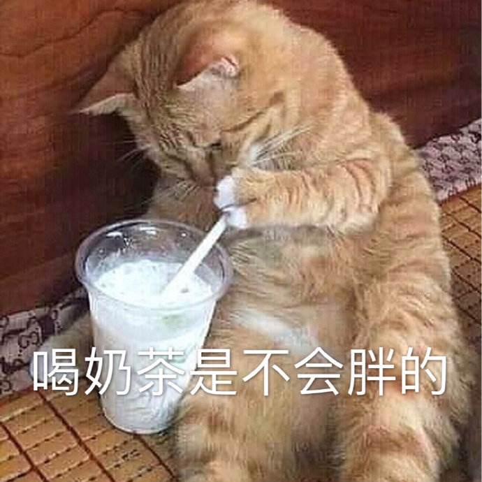 萌宠 猫星人 喝奶茶是不会胖的 嫌弃 搞怪 逗