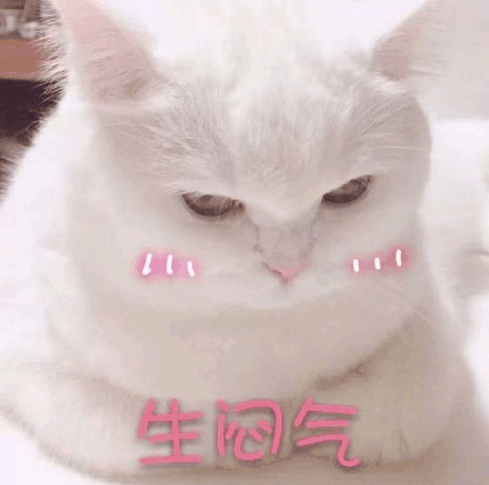 猫咪gif可爱猫gif生闷气gif