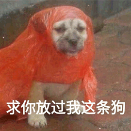 狗