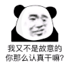 暴漫 熊猫头 我又不是故意的你那么认真干嘛 搞怪 逗