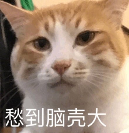 萌宠gif猫星人gif愁到脑壳大gif无奈gif呆萌gif可爱gif