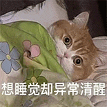 萌宠 猫咪 想睡觉却异常清醒 呆萌 可爱