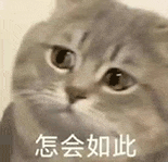 萌寵 貓咪 怎會如此 呆萌 可愛