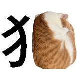 萌宠 猫咪 猫 呆萌 可爱
