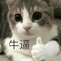 萌宠 猫咪 牛逼 呆萌 可爱