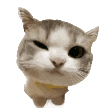 猫咪 可爱 搞怪 日常