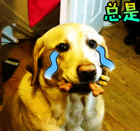 狗哭的表情包GIF图片