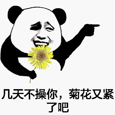 速来菊花表情包图片