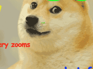 doge狗(doge狗图片)