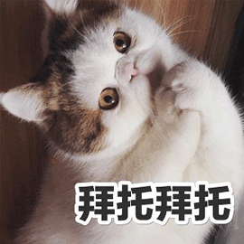 猫猫拜托拜托的表情包图片