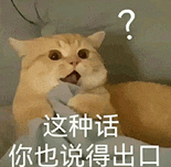 萌宠 猫咪 这种话你也说得出口 呆萌 可爱