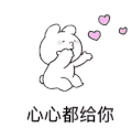 夸张兔 可爱 情侣 搞笑