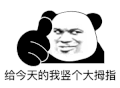 暴漫 熊猫头 给今天的我竖起个大拇指 搞怪 逗