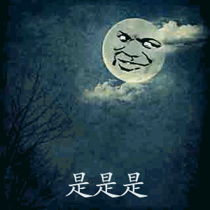 是是是