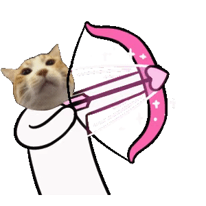 萌宠 猫 射箭 呆萌 可爱