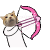 萌宠 猫 射箭 呆萌 可爱