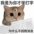 萌宠 猫咪 我是为你才学打字为什么不回我消息 呆萌 可爱