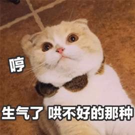 萌宠喵星人哼生气猫搞怪可爱gif动图