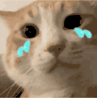 萌宠 猫咪 哭 呆萌 可爱