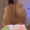 萌宠 猫咪 偷听 呆萌 可爱