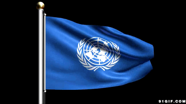 联合国国旗图案图片