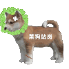 站岗小狗 狗狗 沙雕 可爱 逗