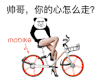暴漫 熊猫头 帅哥，你的心怎么走 搞怪 逗