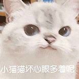 萌寵 貓咪 小貓貓壞心眼多著呢 呆萌 可愛