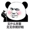 暴漫 熊猫头 见什么世面 见见你就好啦 搞笑 逗 魔性