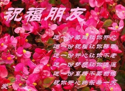 祝福你朋友圖片_祝福你朋友動態圖_祝福你朋友表情包gif動圖下載_soo