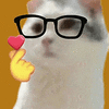 萌宠 猫咪 比心 呆萌 可爱