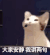 popo猫 大嘴猫咪 可爱 沙雕 搞笑